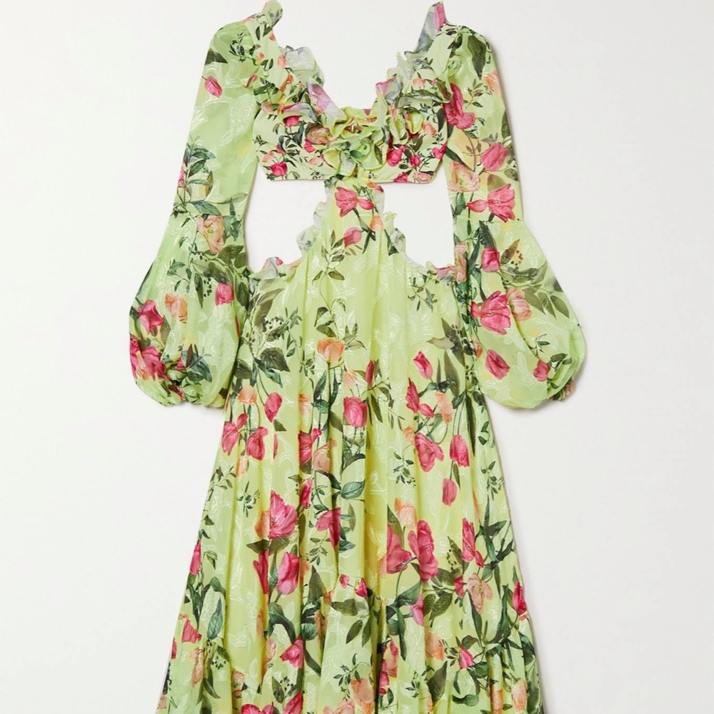 patbo cutout ruffled floral-printed jacquard maxi. WORN ONCE